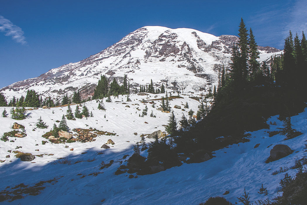 Photos: From Paradise in Mount Rainier National Park